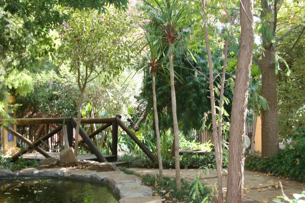 Jedidja Bed And Breakfast Μπλουμφοντέιν Εξωτερικό φωτογραφία